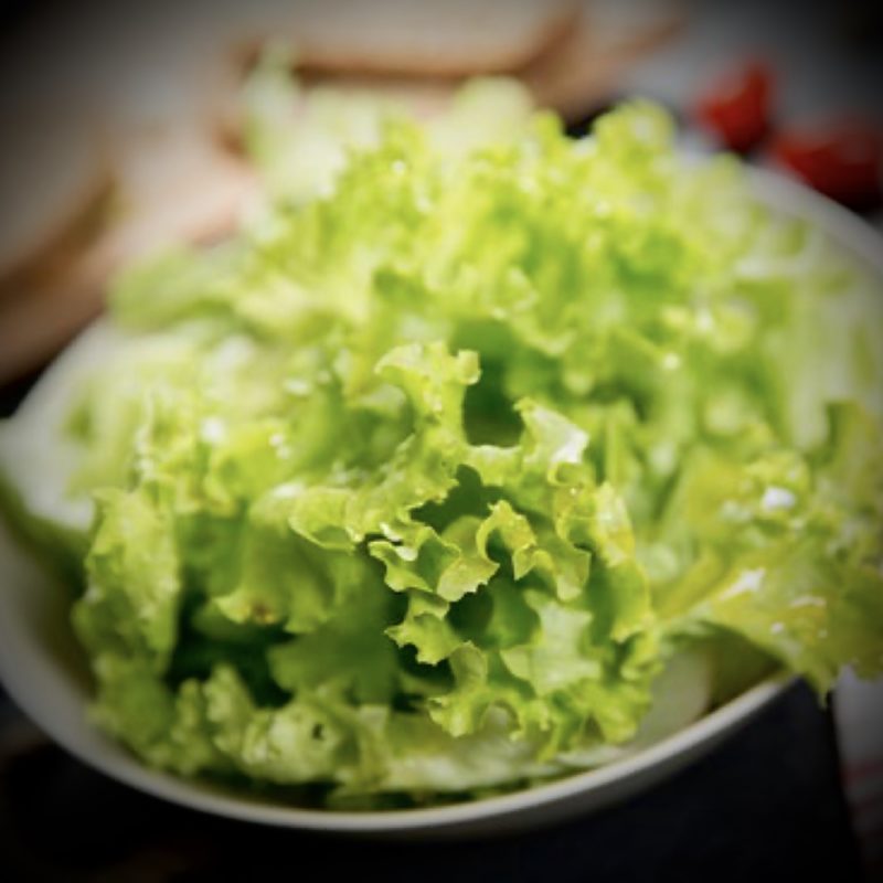 Salade Verte